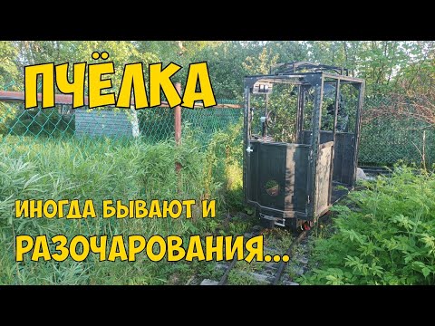 Видео: Пчёлка. Иногда бывают и разочарования...