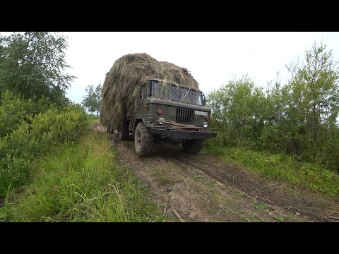 Видео: Сенокос. Вывозим сено на газ 66 . Развалился воз и снова погрузка.