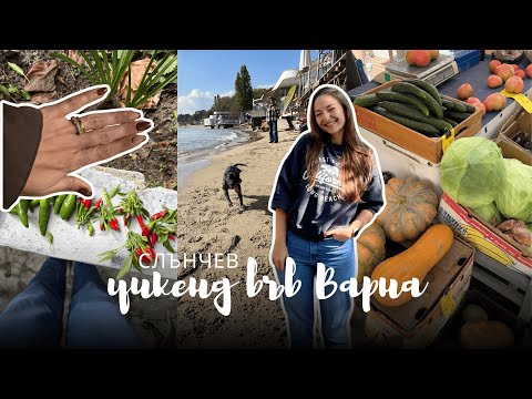 Видео: Варна влог еп.2 | Нов маникюр, фермерски пазар, малко размисли и cozy есенна разходка 🍇 🍂