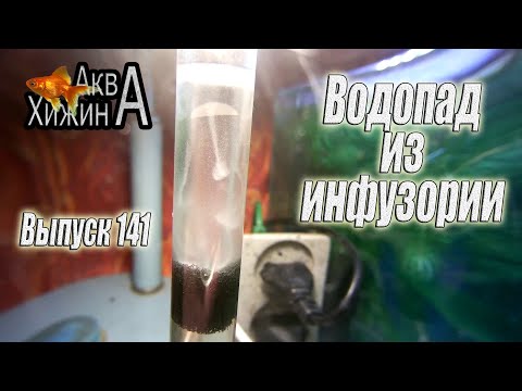 Видео: Что с икрой кардиналов и барбусов? (Аква Хижина, выпуск 141)