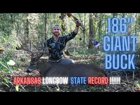 Видео: 186-ДЮЙМОВЫЙ ГИГАНТСКИЙ ЛУКОВЫЙ САМОЛЕТ!!! | История о Дорожном Бегуне - РЕКОРД ШТАТА АРКАНЗАС ПО...