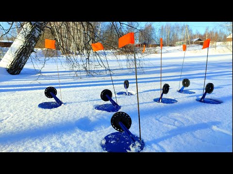 Видео: АКТИВНЫЙ ЖОР ЩУКИ продолжается! Рыбалка на жерлицы