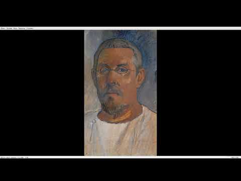 Видео: Кса и Гоген