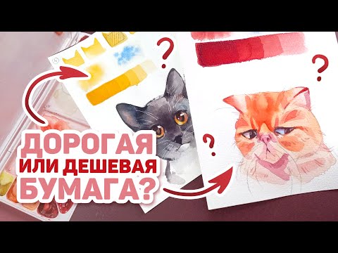 Видео: СЛЕПОЙ ТЕСТ Акварельной Бумаги / Угадываем Дорогую и Дешевую Бумагу Челлендж c @valeriagolovenkina