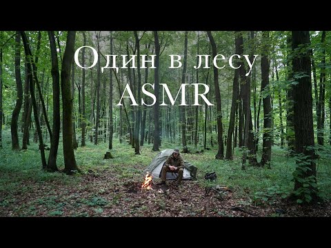 Видео: ASMR: один в лесу. Звуки природы. #природа #асмр #охота #животные