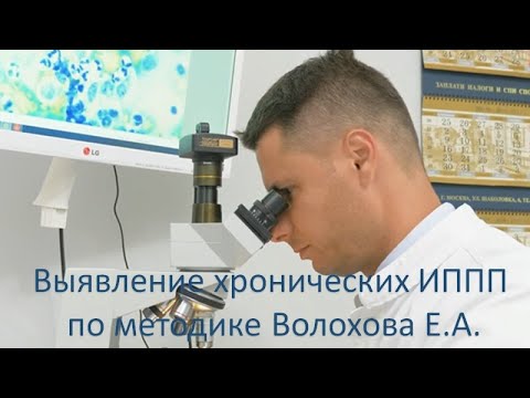 Видео: Выявление хронических ИППП по методике Волохова Е. А.