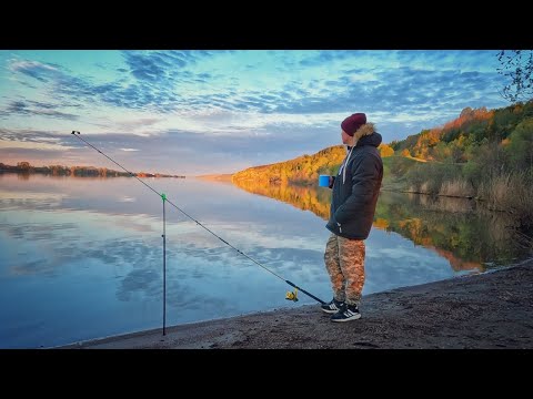 Видео: Рыбалка в нерестовый запрет!!!