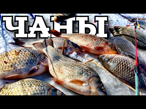 Видео: Весенняя раздача лаптей! Озеро Чаны. Последний лёд.   #рыбалкачаны #dkhunter #боковойкивок