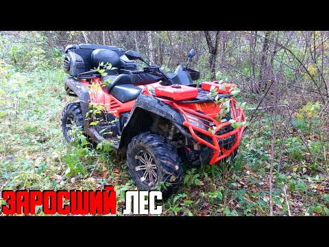 Видео: НА КВАДРОЦИКЛЕ ЧЕРЕЗ ЗАРОСШИЙ ЛЕС