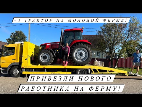 Видео: Привезли новый трактор YTO 1304 MAX! Планы на будущее! Фермерские хлопоты!.