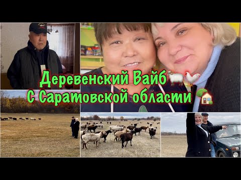 Видео: Деревенский вайб 🐏🐓в Саратовской области|Родительский 🏡 Дом|Поволжские немцы