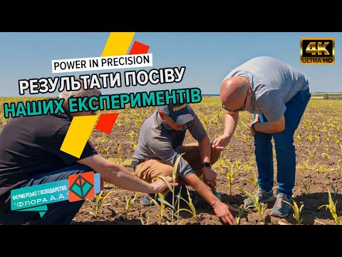 Видео: Досліди на кукурудзі🌽 Оцінка сходів. Аналіз ґрунту. Precision Planting
