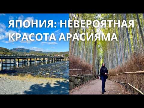 Видео: Япония: Невероятная красота Арасиямы.