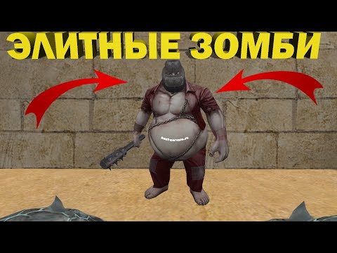 Видео: ОБЗОР БАЛАНСНОГО ЗОМБИ СЕРВЕРА В COUNTER STRIKE 1.6 #55! ЭЛИТНЫЕ ЗОМБИ VIP+LORD!