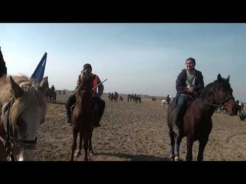 Видео: Алатау батыр ауылының 20 жылдық кездесуіне арналған бата алу көкпар тойы, 14.02.2021 ж.