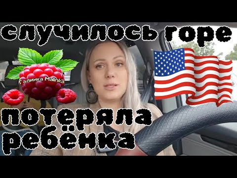 Видео: Лиса в Америке /Случилось горе /Потеряла ребёнка /Обзор /Funny 4 /Big Big Family /Жизнь в США