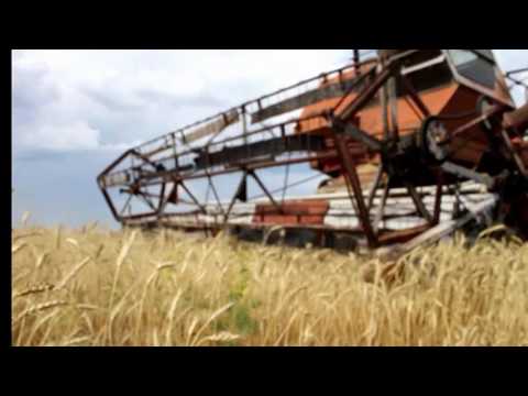 Видео: Полевые работы.