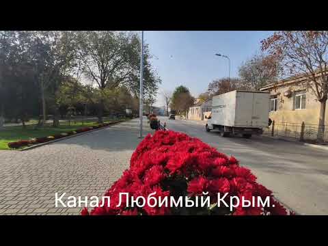 Видео: Евпатория,7 ноября 2025 г.Центр города, прогулка по улице Дувановской. Прокатился по городу на авто.