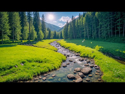 Видео: Отличная расслабляющая спокойная музыка 🍀 Музыка лечит сердце и кровеносные сосуды