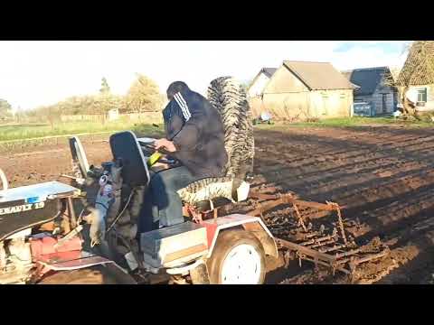 Видео: Боронование картошки 2022 г штенли 1900