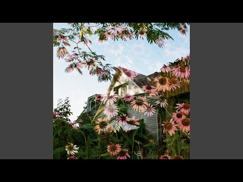 Видео: Реквием