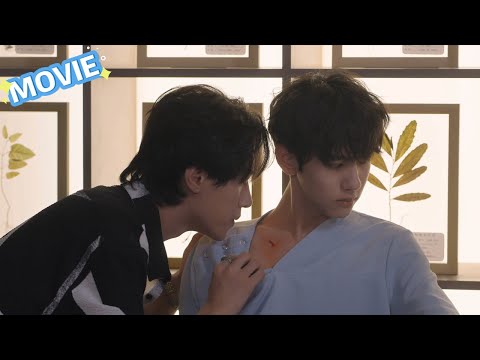 Видео: Сяо Шуай ранен, Го коснулся талии и поцеловал рану… мазь пролилась❤️