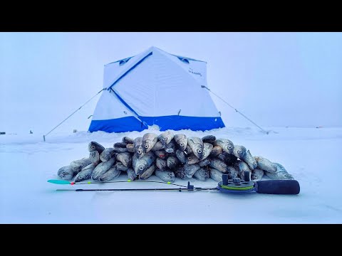 Видео: РЫБАЛКА НА ОГРОМНОЙ ГЛУБИНЕ 33 МЕТРА!!!ЛОВЛЯ РИПУСА на ОЗЕРЕ УВИЛЬДЫ