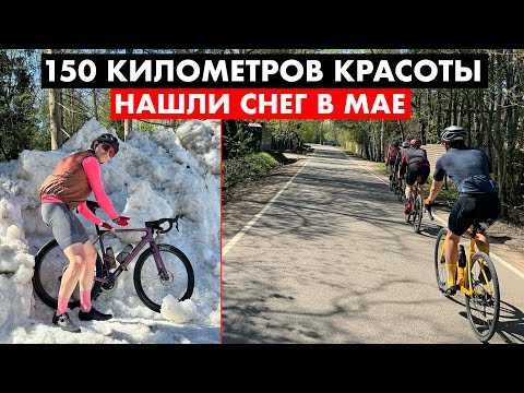 Видео: Идеальный шоссейный маршрут на 150 км | Саша словил бледного