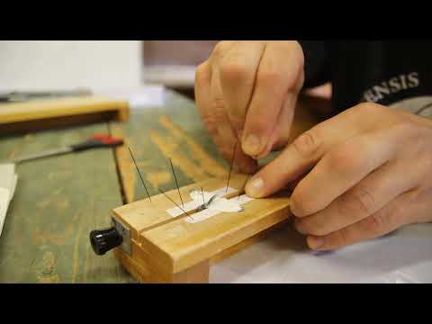 Видео: Всё ЗБС! № 14. Как расправлять бабочек