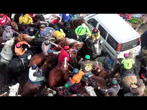 Видео: Бузкашии д Алобайтал 08 11 2025 кисми 2