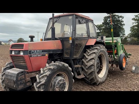 Видео: Пошли сеять!