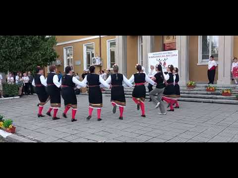 Видео: Ваяшко хоро