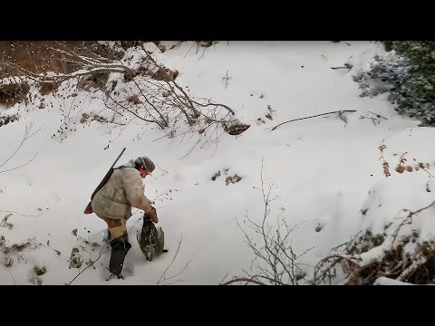 Видео: Осенняя охота в Ханты-Питляре. Часть 2 | С полем!