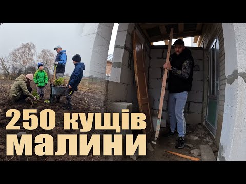 Видео: БЕЗКОШТОВНА гаряча вода || Посаджено 250 КУЩІВ МАЛИНИ || Чи вистачить місця в прибудові?