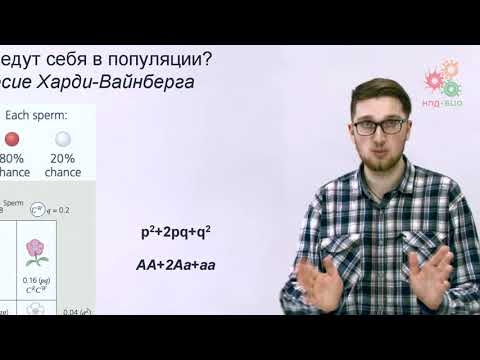 Видео: Введение. Генетика популяций. Естественный отбор (без музыки)