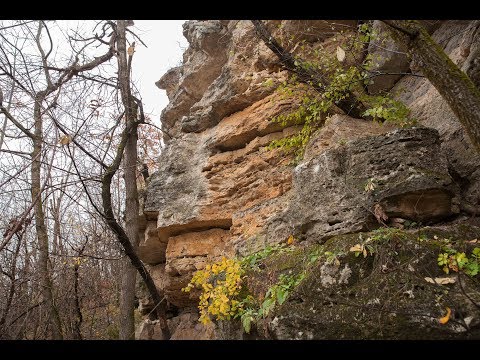 Видео: Открываем Белочи. Часть II. 2 кадра 21.11.2017