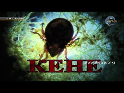 Видео: АРНАЙЫ РЕПОРТАЖ - КЕНЕ /  КЕНЕДЕН САҚТАНУ / КЕНЕДЕН ТАРАЙТЫН АУРУЛАР / 20.04.21