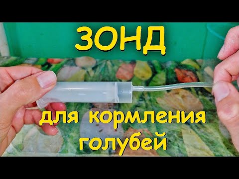 Видео: КАК СДЕЛАТЬ ЗОНД ДЛЯ КОРМЛЕНИЯ ГОЛУБЕЙ