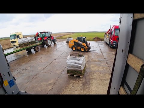 Видео: БУКСУЕМ,VOLVO ГРЯЗИ НЕ БОИТСЯ))ГРУЗИМ ГАЗОН,ЕДУ В Н.НОВГОРОД
