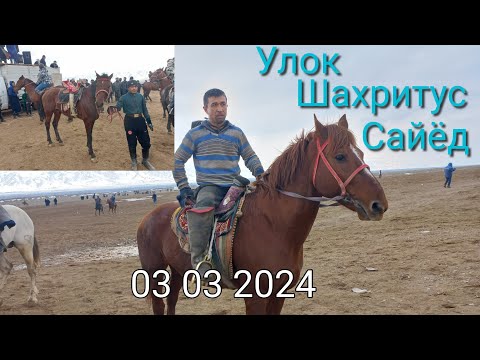 Видео: Улок Шахритус Сайёд 03 03 2024 зур улок шуд тез куринг