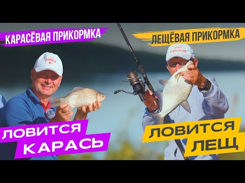 Видео: Селектируем рыбу прикормкой! Кто наловит БОЛЬШЕ целевой рыбы?