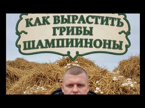 Видео: Делаю компост для грибов шампиньонов моя первая история 