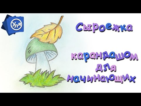 Видео: Рисунки поэтапно Грибы Сыроежки // Рисунки карандашом для начинающих