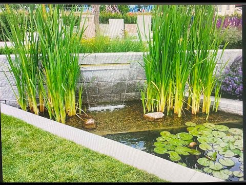Видео: Биоплато в пруду.
