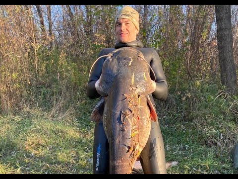 Видео: Гигантский Сомяра!Сом 100кг чуть не утащил!!!