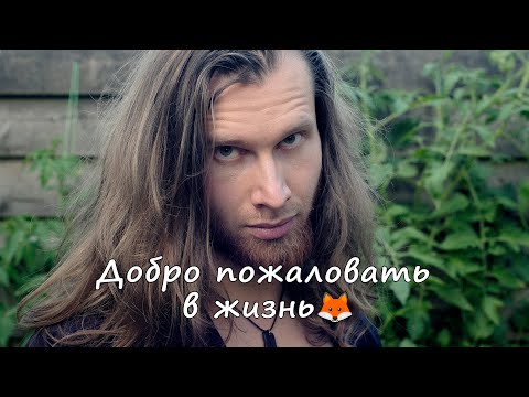 Видео: без хитрости здесь никуда, смекаешь?