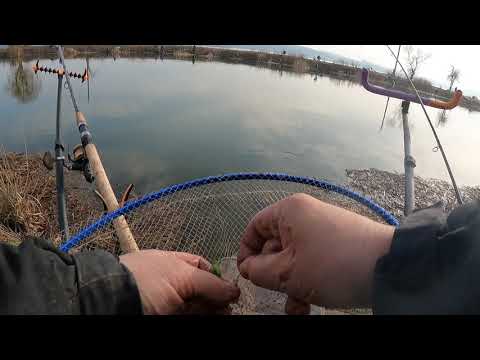 Видео: Флет проти фідера на Бурштині