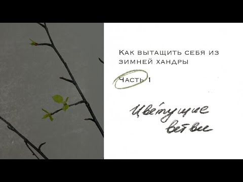 Видео: Vlog 1: Вытаскиваю себя из зимней хандры // Часть 1: Цветущие ветви самостоятельно