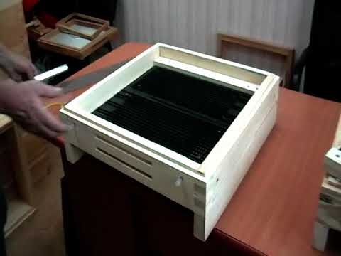 Видео: Дно с донным пыльцесборником