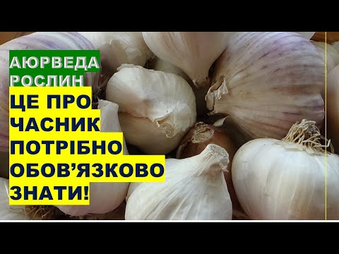 Видео: Ось це про часник треба обов'язково знати!
